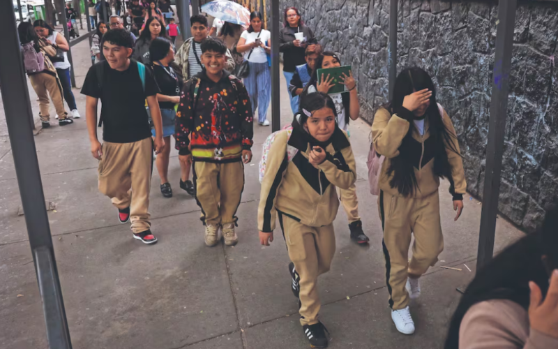 México sin avances en lectura ni conectividad escolar, alerta UNESCO