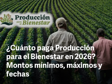 Sheinbaum lee comunicado completo sobre acusaciones de EUA contra gobernador de Sinaloa y otros mexicanos