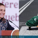 La presidenta Claudia Sheinbaum convoca a Merlín, el pato mundialista, a la conferencia matutina