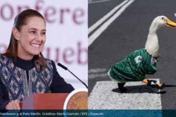 La presidenta Claudia Sheinbaum convoca a Merlín, el pato mundialista, a la conferencia matutina