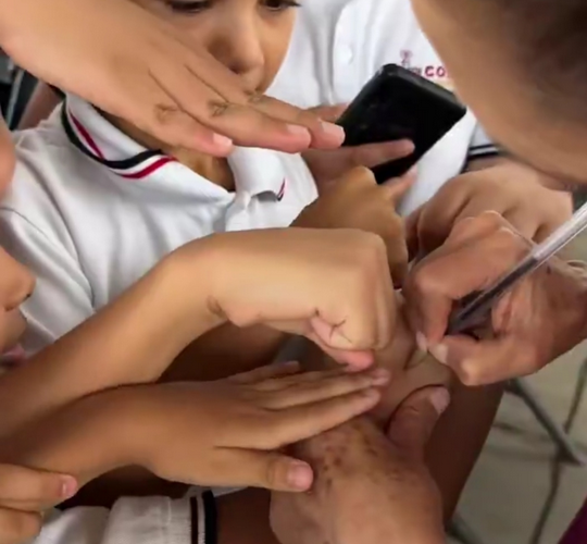 Presidenta Claudia Sheinbaum entrega apoyos educativos y supervisa obras en Colima