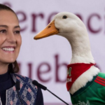 Presidenta Sheinbaum anuncia invitación al Pato Merlín para la conferencia matutina tras su popularidad mundial