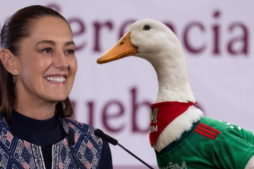 Presidenta Sheinbaum anuncia invitación al Pato Merlín para la conferencia matutina tras su popularidad mundial
