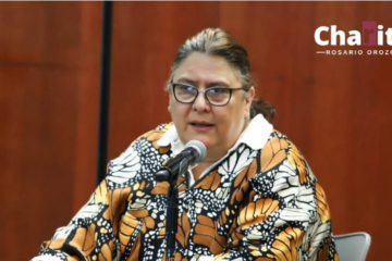 Diputada de Morena respalda plan de Sheinbaum para proteger a niños en internet y redes sociales