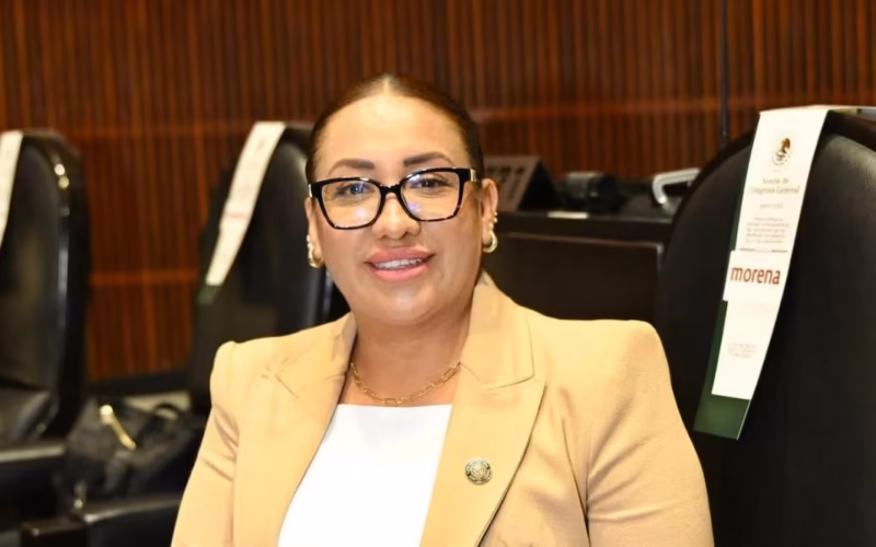 Muere la diputada federal de Morena Anay Beltrán Reyes